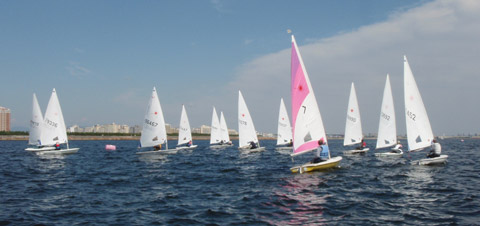 フリートレース